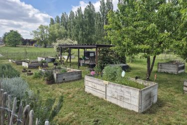 Le Jardin partagé à la Cité Parc à Marcinelle