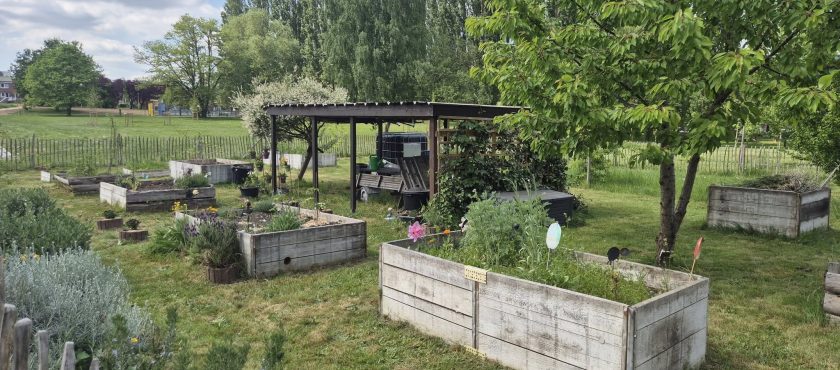 Le Jardin partagé à la Cité Parc à Marcinelle
